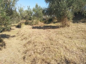 Home img 20180823 104822